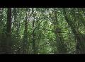Visions_01_dvd